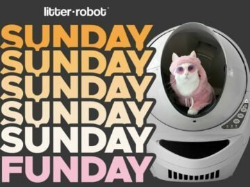 Sunday Funday Litter Robot Giveaway
