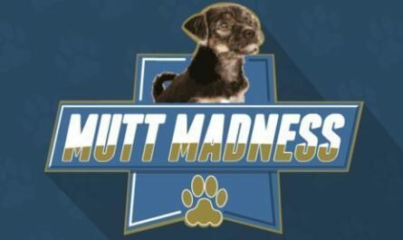 95.7 BEN-FM Mutt Madness Giveaway