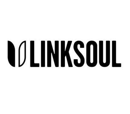 Linksoul Wardrobe Sweepstakes