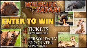 KEZI Wildlife Safari Giveaway