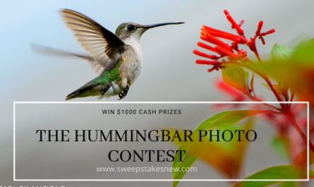 The Hummingbar Photo Contest