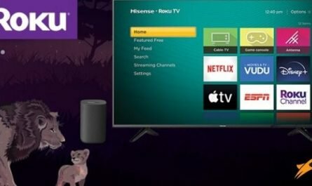 Roku Father’s Day Sweepstakes