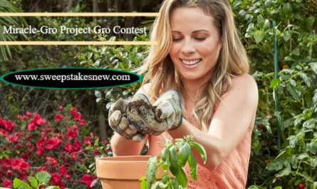 BHG.com Miracle-Gro Project Gro Contest