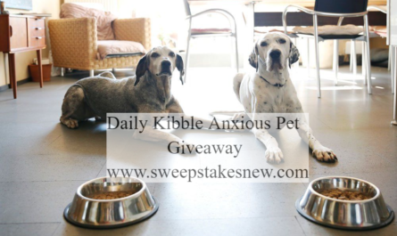 Daily Kibble Anxious Pet Giveaway
